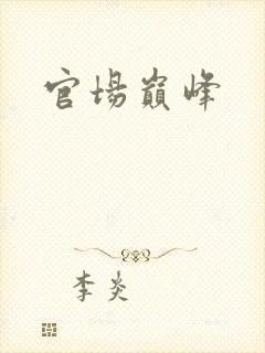 官场巅峰
