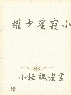 权少蜜宠小娇妻