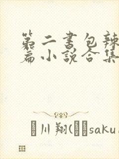 第二书包辣网短篇小说合集