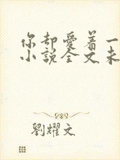 你却爱着一个他小说全文未删减免费