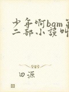少年啊bgm第二部小说叫什么