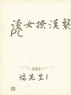 渣女撩汉系统NPC