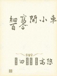 细写开小车车的百合