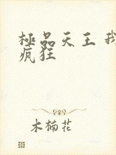 极品天王 我本疯狂