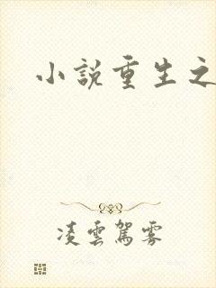 小说重生之官道