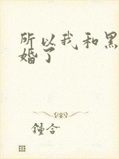 所以我和黑粉结婚了