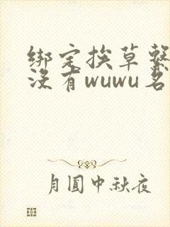 绑定挨草系统后没有wuwu名字