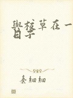 与校草在一起的日子