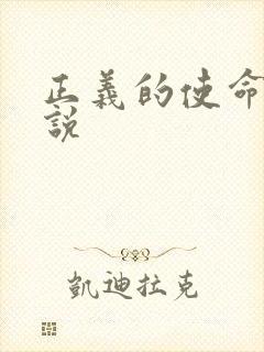 正义的使命 小说