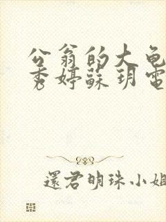 公翁的大龟挺进秀婷苏玥电影