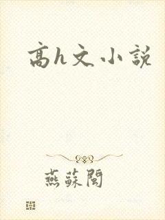 高h文小说