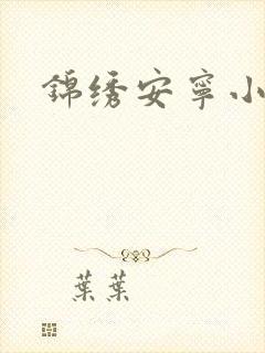 锦绣安宁小说