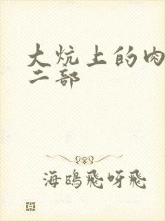大炕上的肉伦第二部