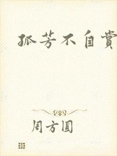 孤芳不自赏小说