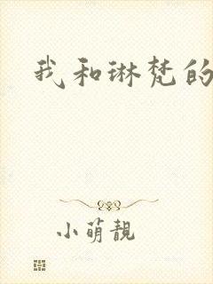 我和琳梵的故事