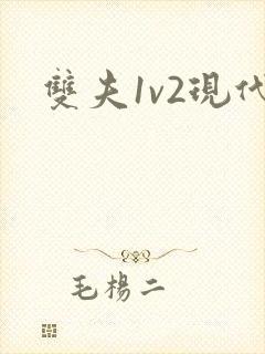双夫1v2现代