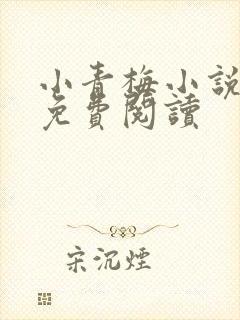 小青梅小说全文免费阅读