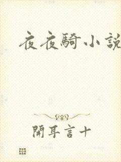 夜夜骑小说