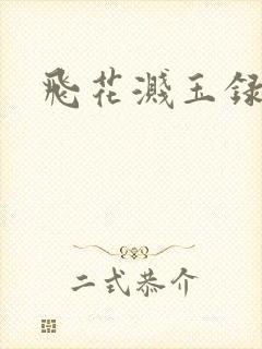 飞花溅玉录