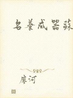 名养成器苏沫沫