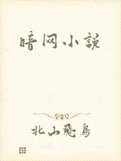 暗网小说