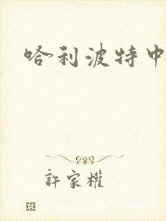 哈利波特中文版