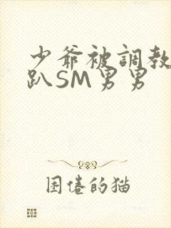 少爷被调教室跪趴SM男男