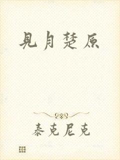 见月楚原