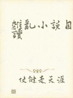 杂乱小说目录阅读