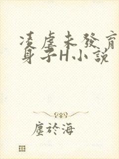 凌虐未发育的小身子H小说