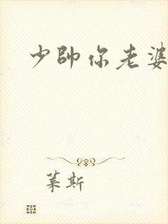 少帅你老婆