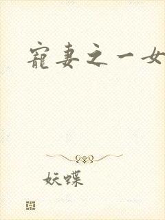 宠妻之一女二夫