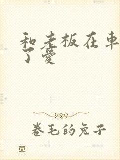 和老板在车里做了爱