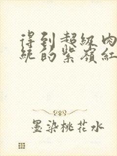 得到超级肉禽系统的紫岭红山