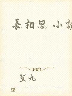 长相思 小说