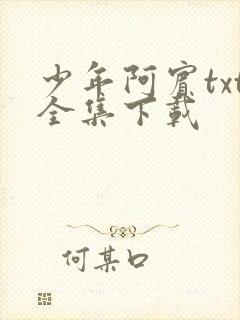 少年阿宾txt全集下载