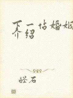 下一站婚姻剧情介绍