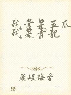 我爹是五爪金龙我是青龙