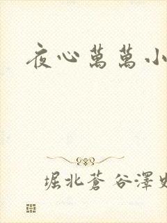 夜心万万小说
