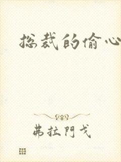 总裁的偷心娇妻