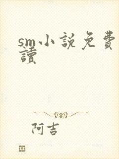 sm小说免费阅读
