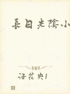 长日光阴小说
