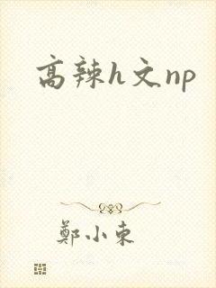 高辣h文np