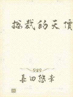 总裁的天价宠妻