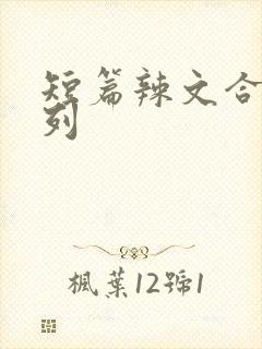 短篇辣文合集系列