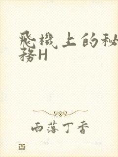 飞机上的秘密服务H