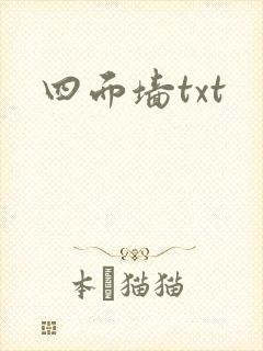 四面墙txt