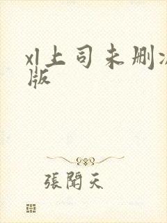 xl上司未删减版