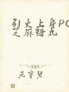 引火上身POP芝麻糖丸