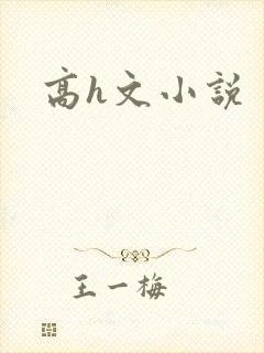 高h文小说